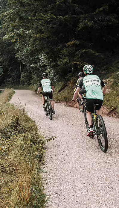 Mountainbiker auf einem Waldweg