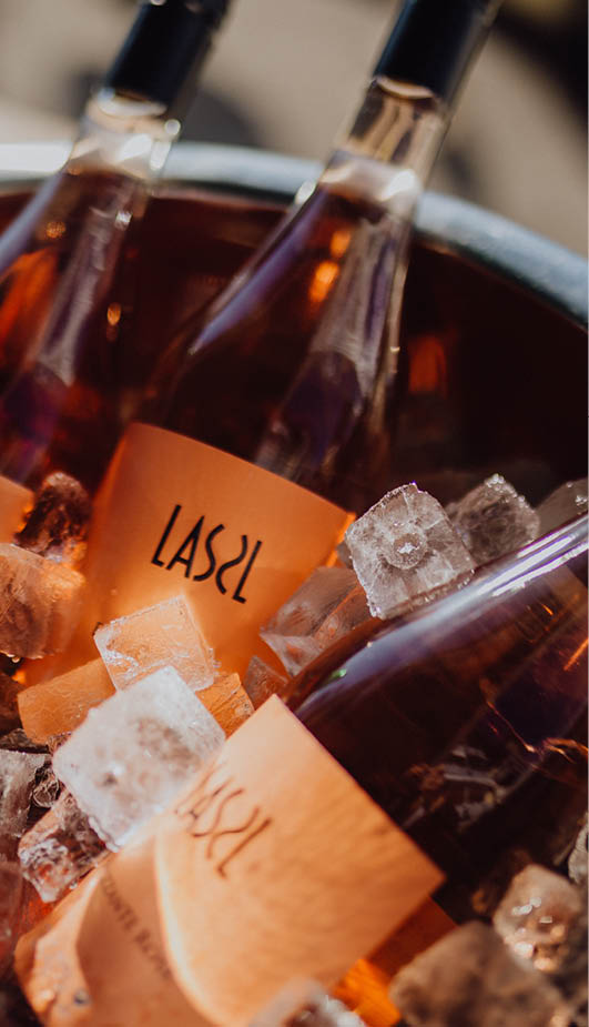 Rose Frizzante von Lassl