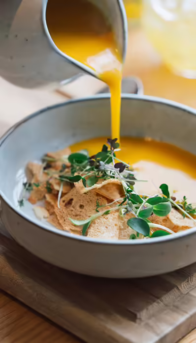 Suppe mit Brot und Kräutern