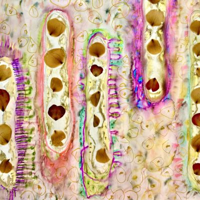 {"ARInfo":{"IsUseAR":false},"Version":"1.0.0","MakeupInfo":{"IsUseMakeup":false},"FaceliftInfo":{"IsChangeEyeLift":false,"IsChangeFacelift":false,"IsChangePostureLift":false,"IsChangeNose":false,"IsChangeFaceChin":false,"IsChangeMouth":false,"IsChangeThinFace":false},"BeautyInfo":{"SwitchMedicatedAcne":false,"IsAIBeauty":false,"IsBrightEyes":false,"IsSharpen":false,"IsOldBeauty":false,"IsReduceBlackEyes":false},"HandlerInfo":{"AppName":2},"FilterInfo":{"IsUseFilter":false}}